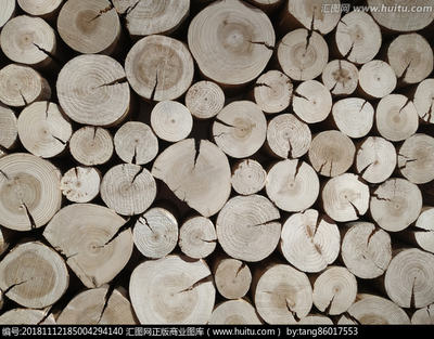 木材與家具 自然與藝術的完美融合