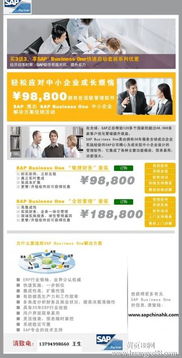 深圳SAP Business One軟件綜合服務(wù)指南 報(bào)價(jià)、實(shí)施、培訓(xùn)與外包解決方案